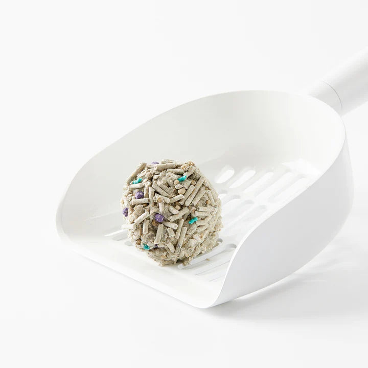 Petkit Cat Litter in a Multi-Cat Household Setting