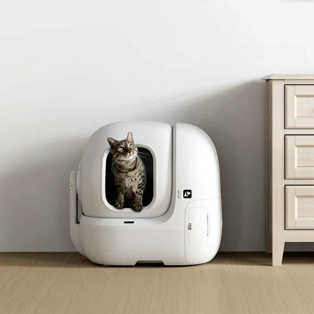 Petkit self-cleaning cat litter box for multi-cat homes