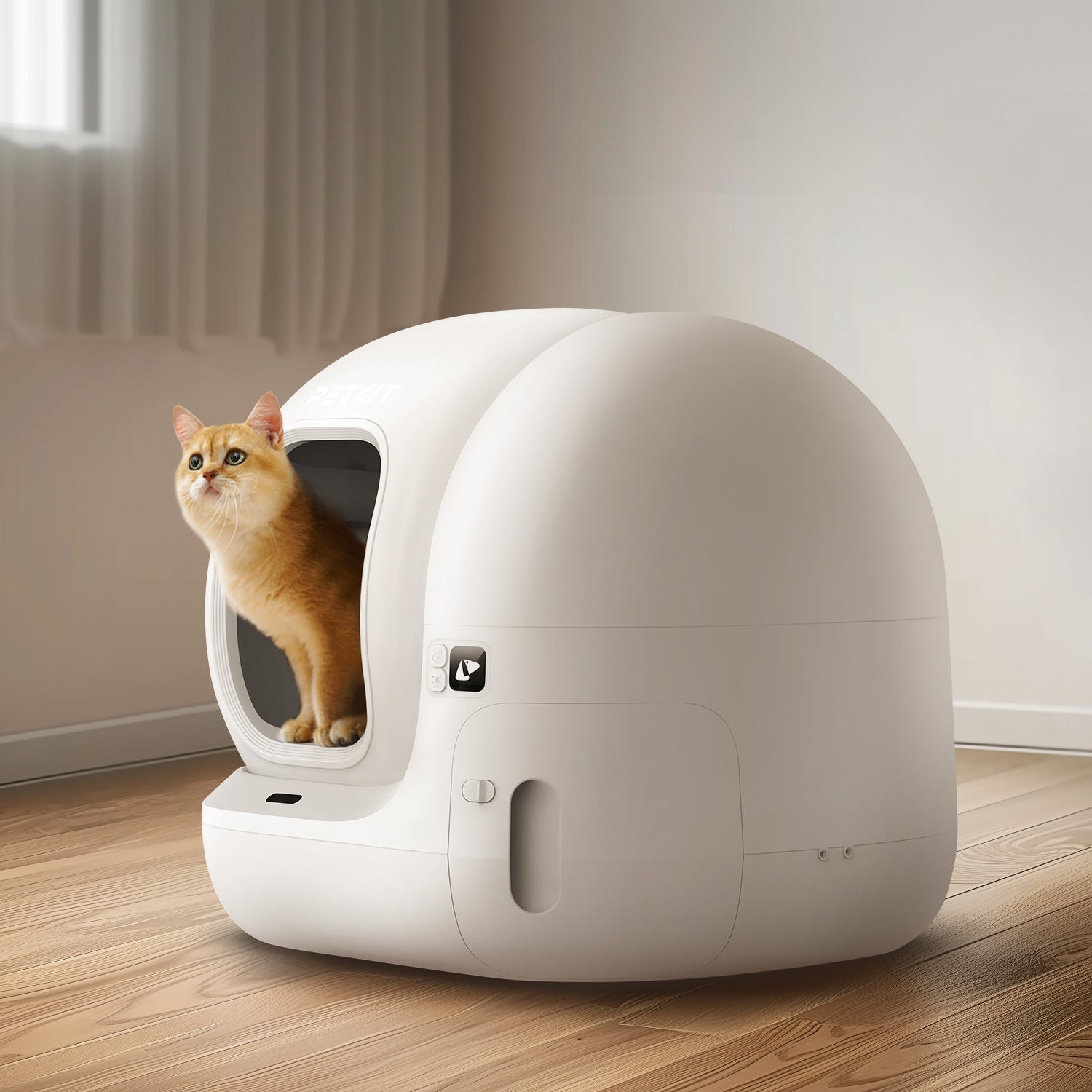 Petkit self-cleaning cat litter box for multi-cat homes in Dubai