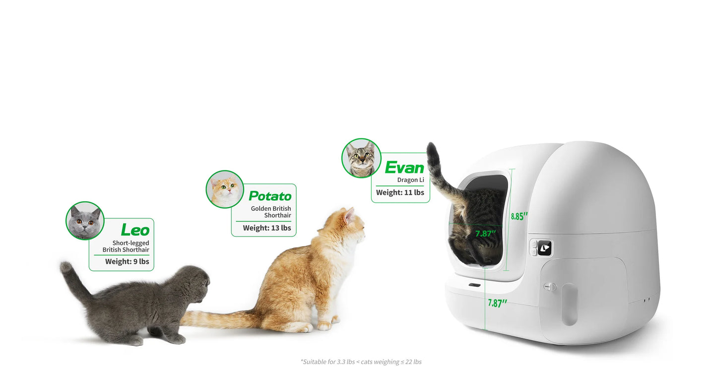 Petkit self-cleaning cat litter box for multi-cat homes in Dubai with recognition