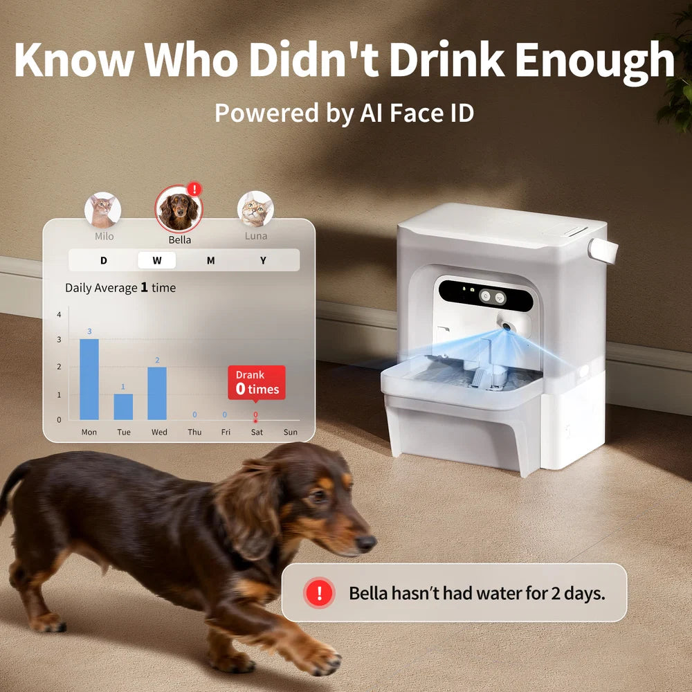 EverSweet Ultra with Camera Pet Water Fountain