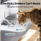 EverSweet Ultra with Camera Pet Water Fountain