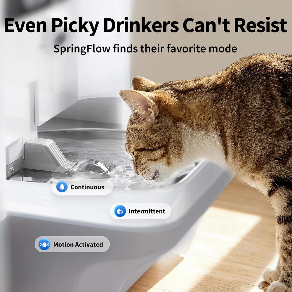 EverSweet Ultra with Camera Pet Water Fountain