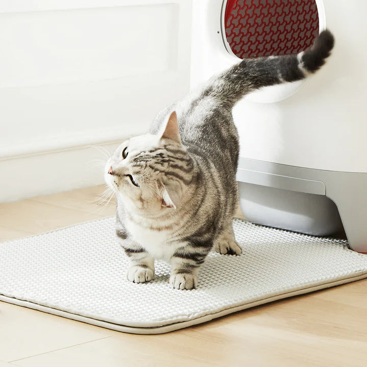 Cat Litter Trapper Mat – Petkit Global (Urban Hub General