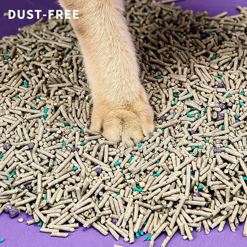 Close-up of Petkit Cat Litter Granules