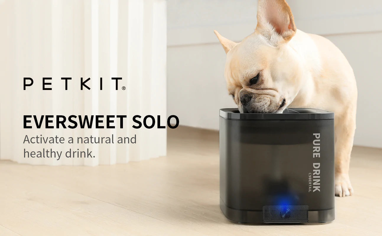 Eversweet Solo SE - Automatic Water Fountain