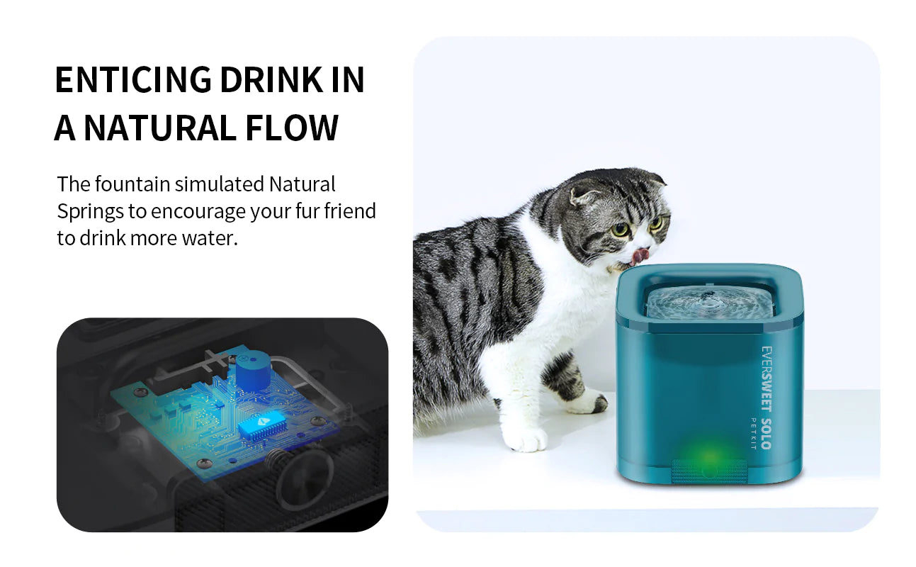 Eversweet Solo SE - Automatic Water Fountain